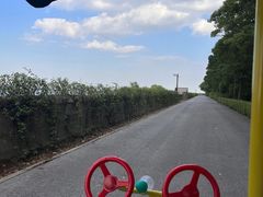 -上海滨江森林公园