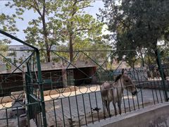 -保定市动物园