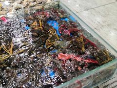 -王四营海鲜市场