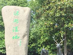 -溱湖国家湿地公园