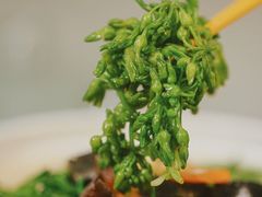 -寻味顺德·南记酒家·传统顺德菜·鱼生(广源路店)