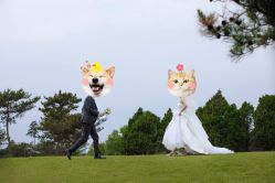-CD视觉婚纱摄影