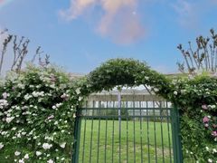 -廊坊文化艺术中心