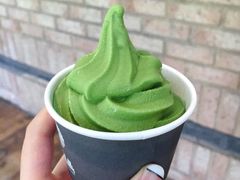 -雪绿茶博物馆