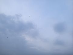 -北山公园