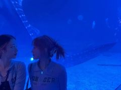 -烟台海昌鲸鲨海洋公园