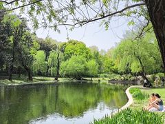 -上海共青森林公园