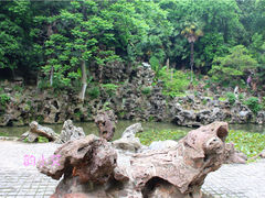 -伯先公园
