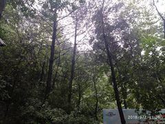 -梦幻奥陶纪景区