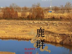 -溱湖国家湿地公园