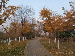 -堤角公园