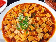 麻辣豆腐-来顺成饭庄