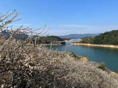 -广州市流溪河国家森林公园