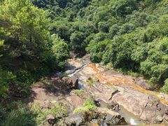 -广州白江湖森林公园