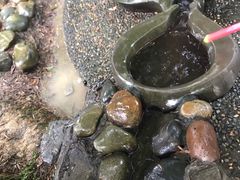 -成都市活水公园