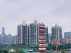 -小茶闲舍·观景商务茶馆(广州塔店)