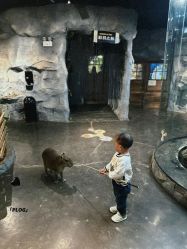 -Zoolung Zoolung动物主题公园(海信广场店)