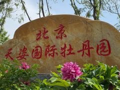 -太阳宫公园