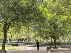 -满记甜品(巴黎春天宝山店)