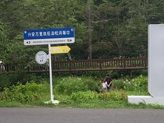 -汤旺河林海奇石景区