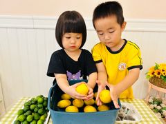 -金点蒙氏国际教育(悠然校区)