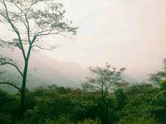 -广州市石门国家森林公园