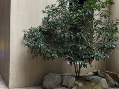-百汇医疗健康管理与出国体检中心