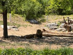 -北京野生动物园