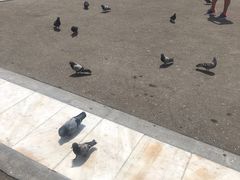 -宪法广场