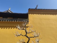 -无锡梅园公园