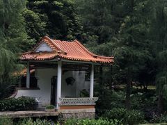 -深圳仙湖植物园