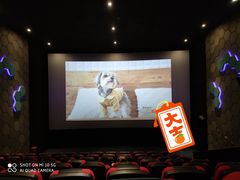 -银河电影城(中国巨幕斗门店)