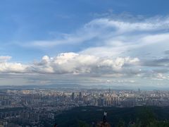 -长虫山生态公园风景林