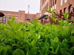 -天津市第七十八中学