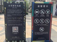 -迪士尼乐园停车场
