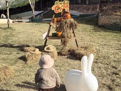 -杭州开元森泊度假乐园