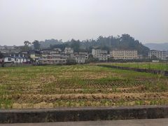 -四川农业大学(雅安校区)