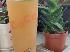 -CoCo都可(南京珠江路店)