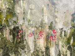 -太鲁阁公园