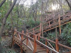 -大岭沟猕猴桃谷风景区