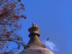 -塔尔寺