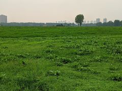 -汉长安城未央宫国家考古遗址公园