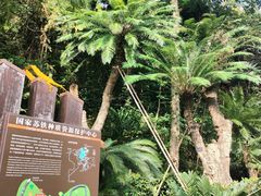 -深圳仙湖植物园