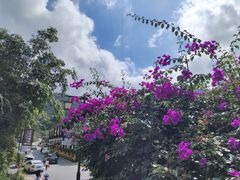 -广东天露山旅游度假区
