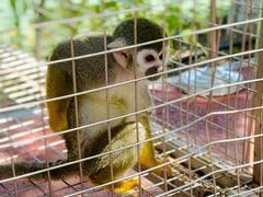 -水上乐园·欢乐世界