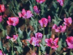 -成都中医药大学(温江校区)