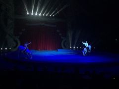 -珠海横琴长隆《卡卡虎奇遇记》