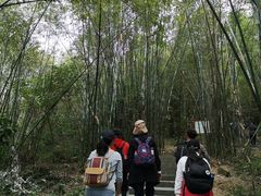 -羚羊峡古栈道森林公园