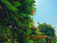 -海文实验幼儿园