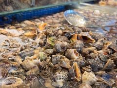 -港畔赶海蒸汽海鲜烧烤自助(仙螺岛店)